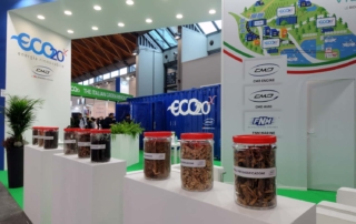 Foto CMD - Key Energy 2019